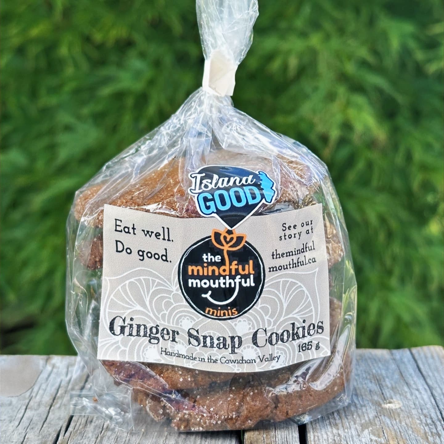 Gingersnap - Mindful Minis