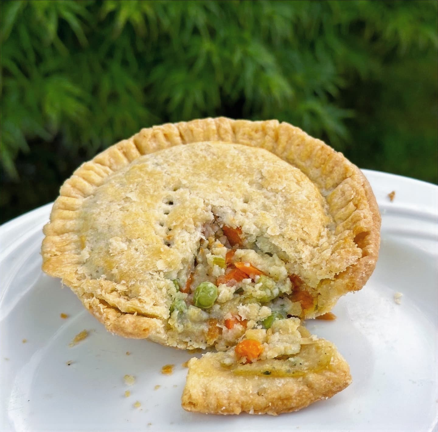 Chicken Pie