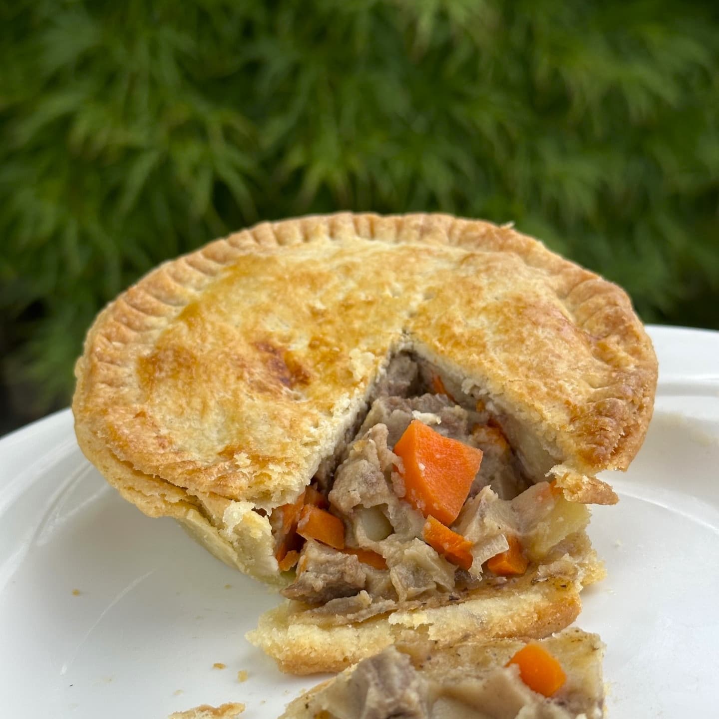 Beef Pie