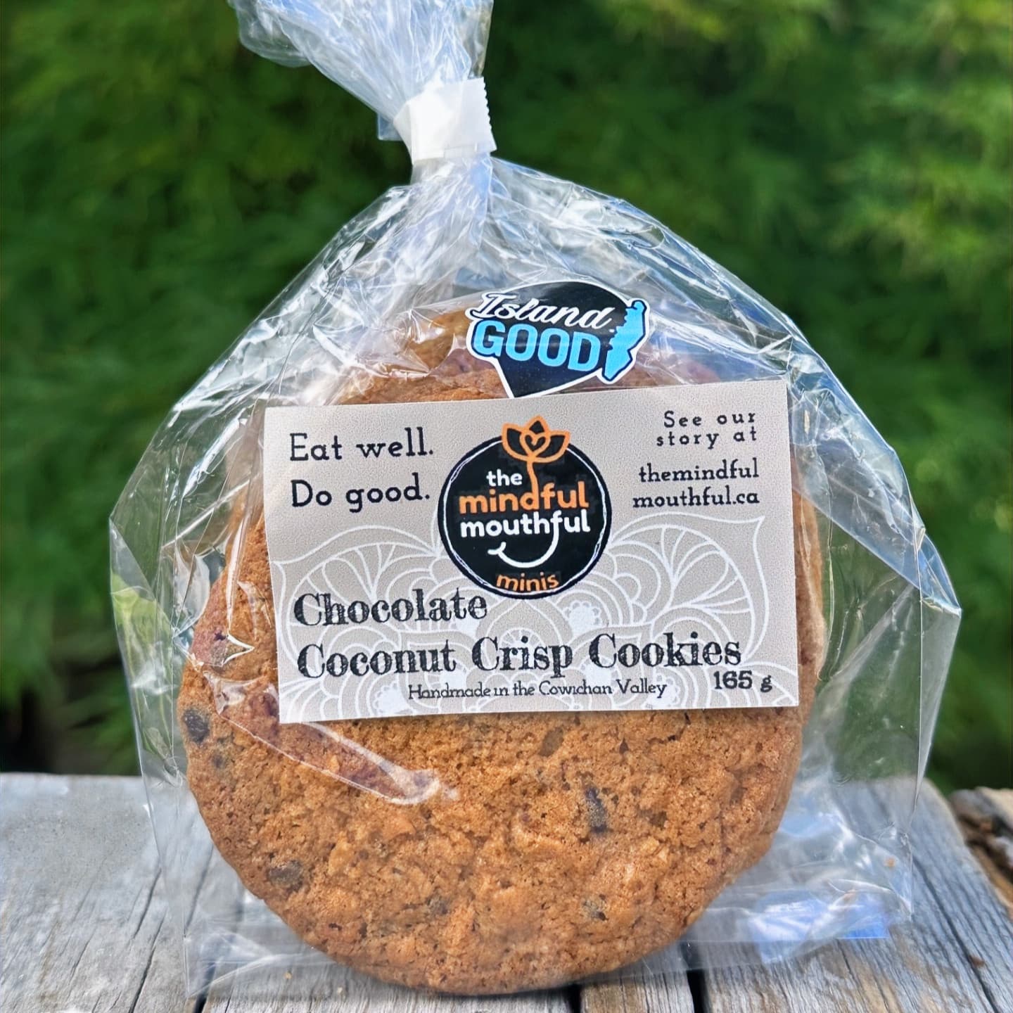 Chocolate Coconut Crisp - Mindful Minis